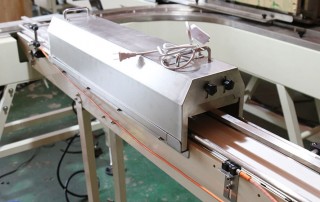 Forno(Torta,Pane,Biscotto) Confezionatrice per vassoio di alimentazione automatica
