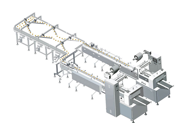 automatic feeding & packing line cb-zf2 | chlbpack