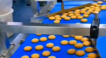 Como escolher a máquina de embalagem de biscoitos