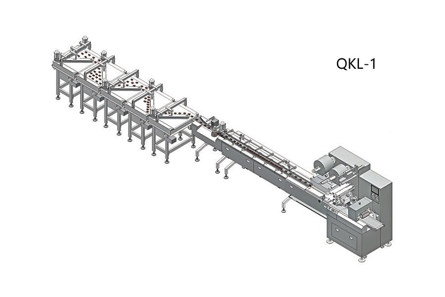 this is a drawing of the belt sorting packing line