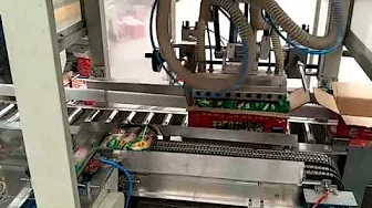 head image of sacuaage packing and cartoning line