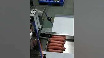 sacuage packing and counting line
