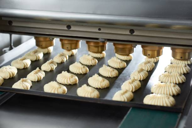 conveyor-line-makes-little-cakes-from-raw-dough