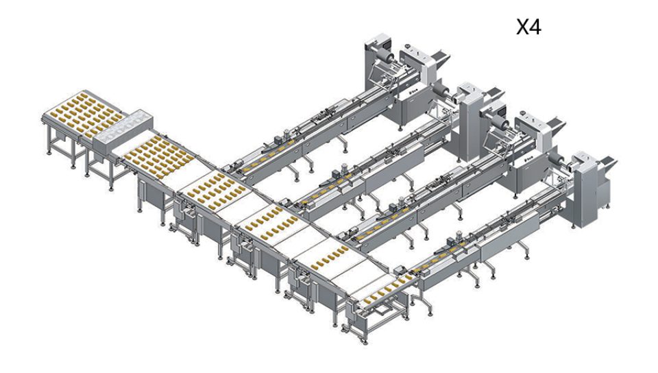 a belt sorting system connecting with 4 packing machine